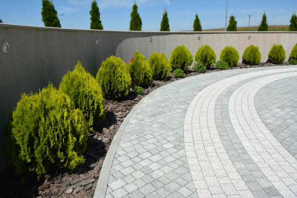 Best Local Driveway Pavers  in Mather, CA
